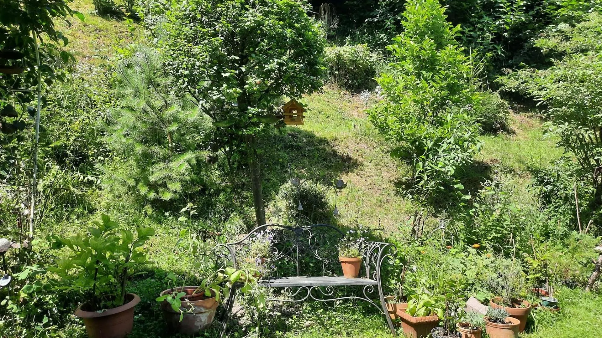 Ferienwohnung Yogahaus Berchtesgaden Bischofswiesen Appartement